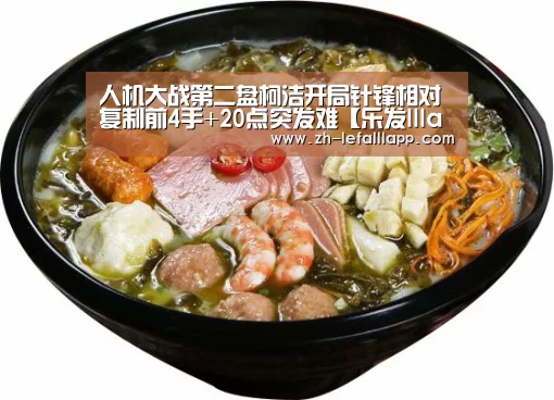 人机大战第二盘柯洁开局针锋相对 复制前4手+20点突发难【乐