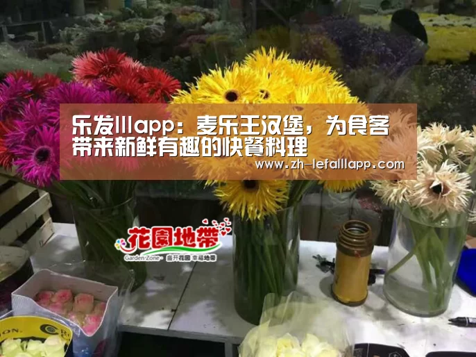 乐发lllapp