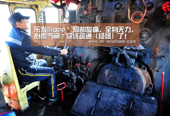 乐发lllapp-
局部酸痛、全身无力、心慌气闷？你该疏通「