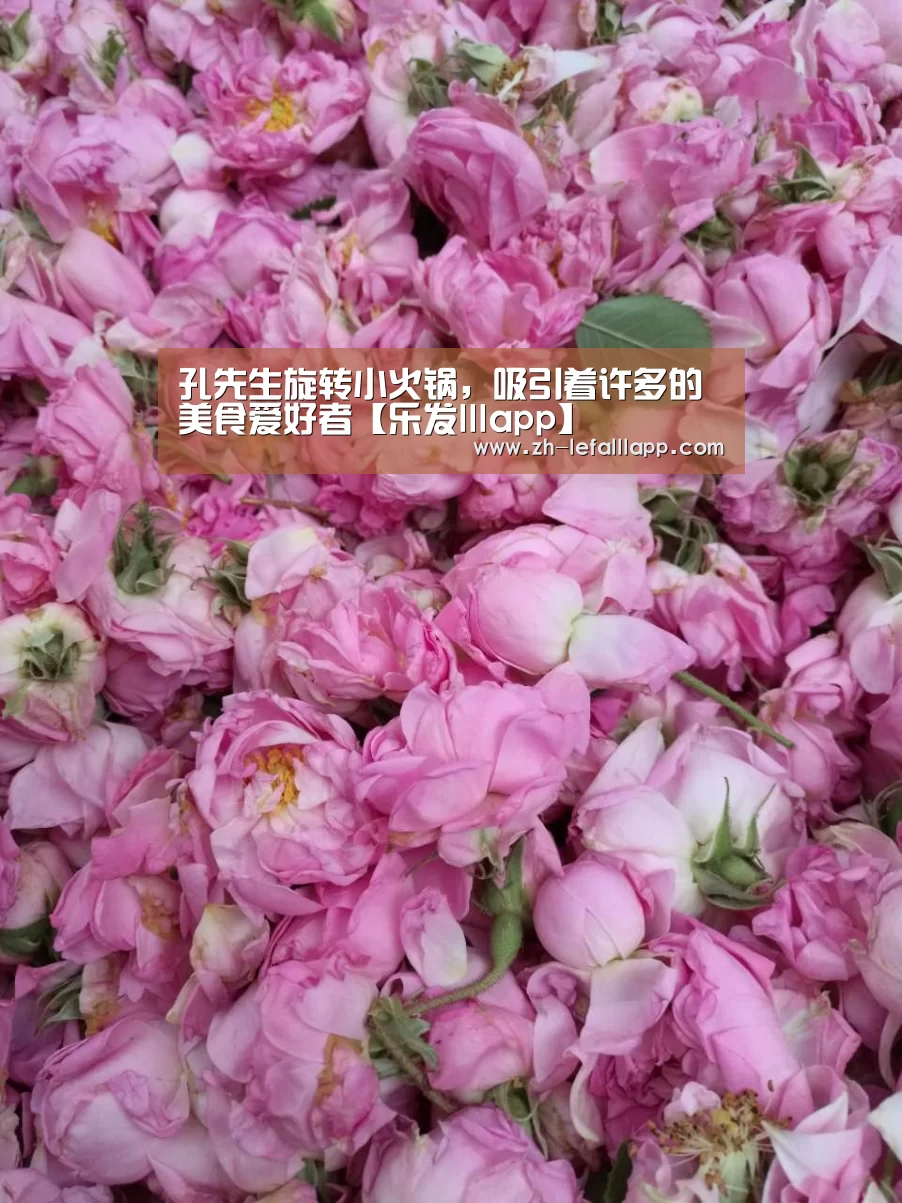 孔先生旋转小火锅,吸引着许多的美食爱好者【乐发lllapp】(图2) 乐发lllapp